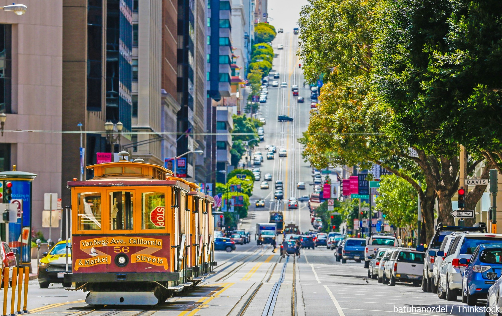City Tour