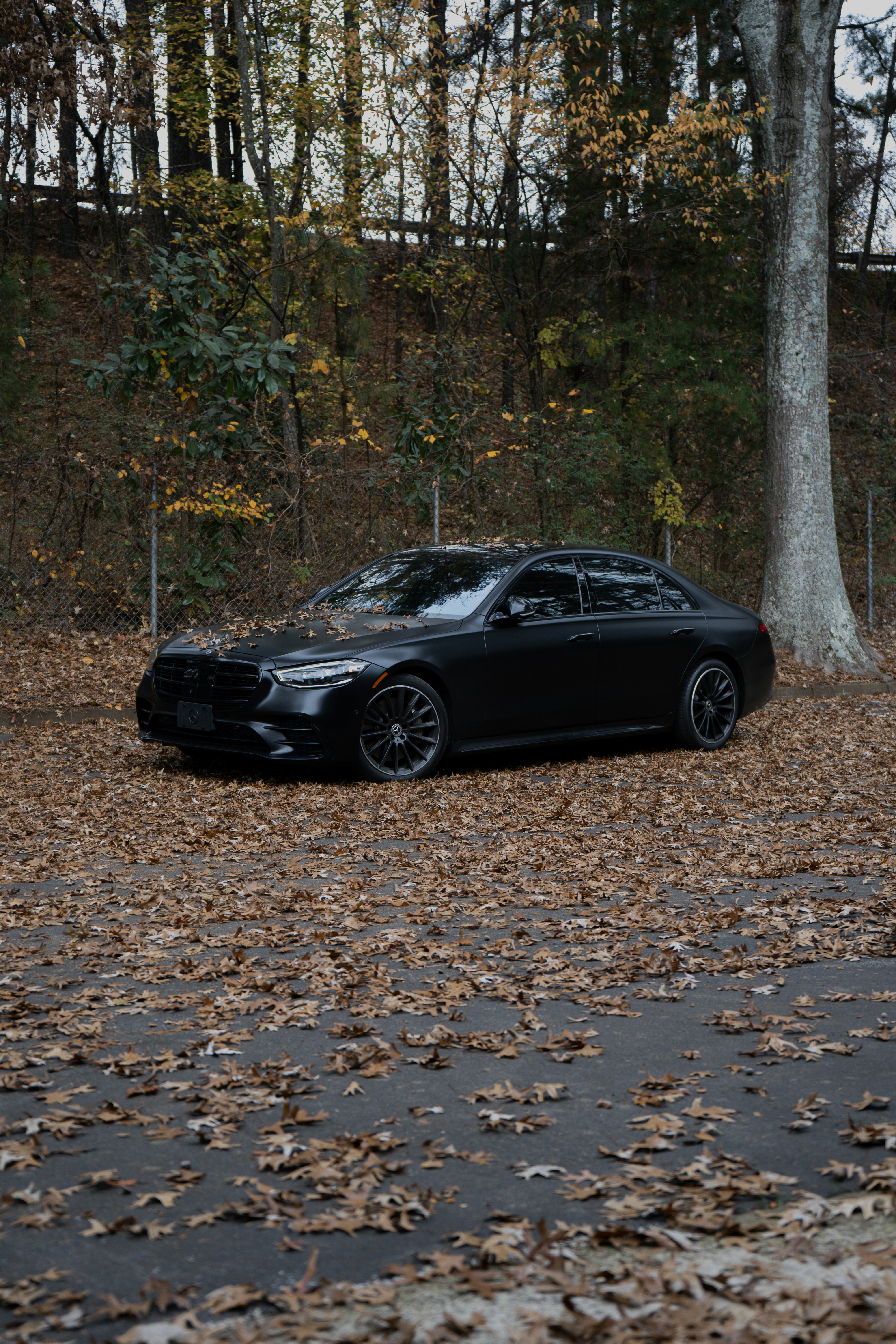 Luxury Sedan